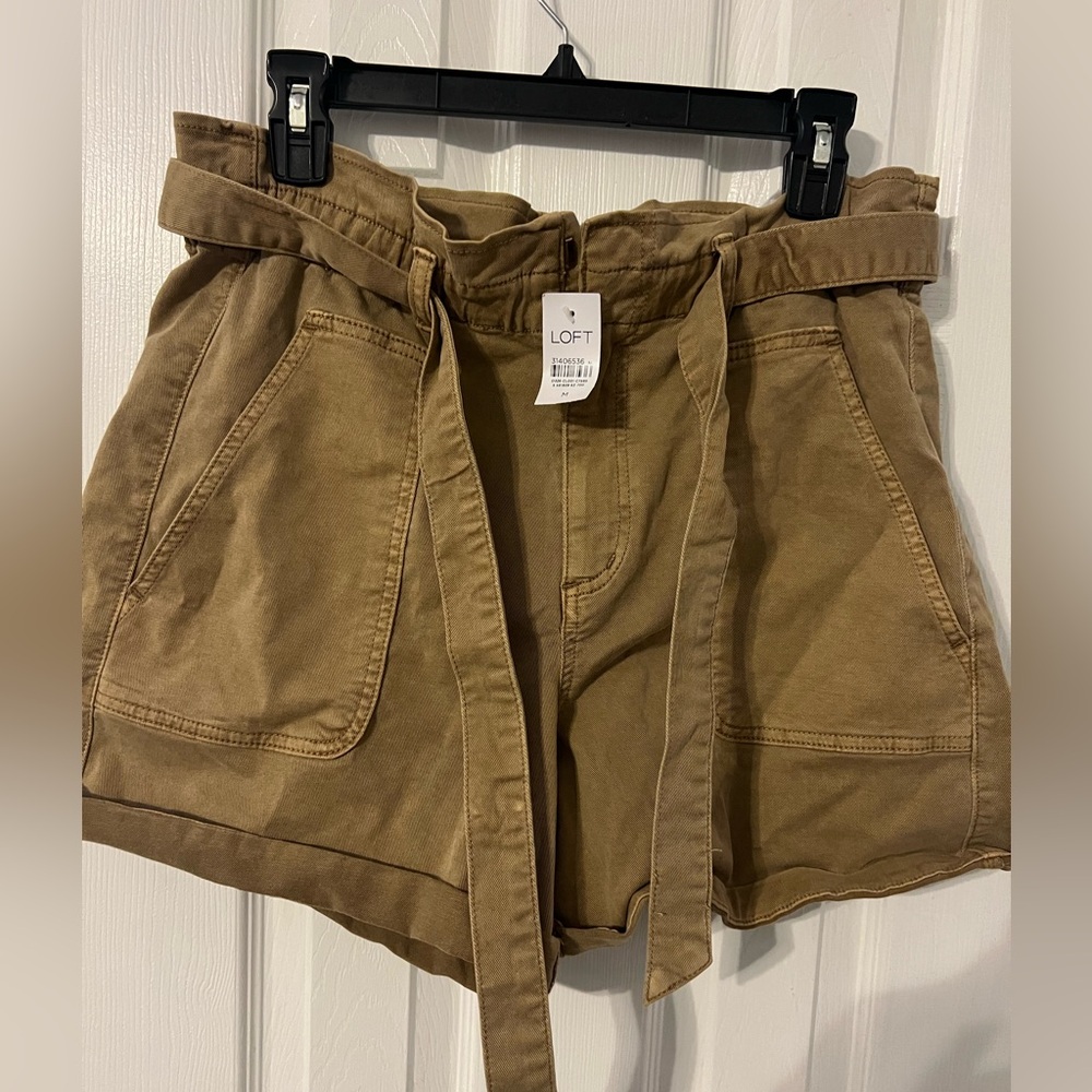 LOFT High Waist Brown Belted Shorts
